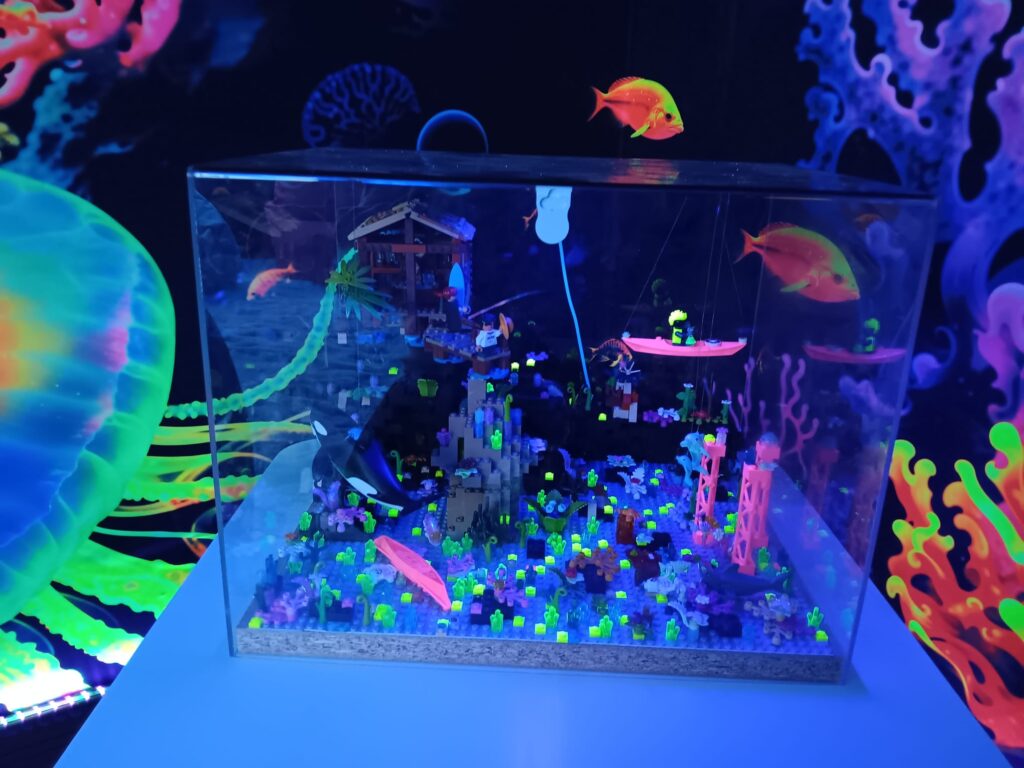 Salzzimmer Meereszauber-2